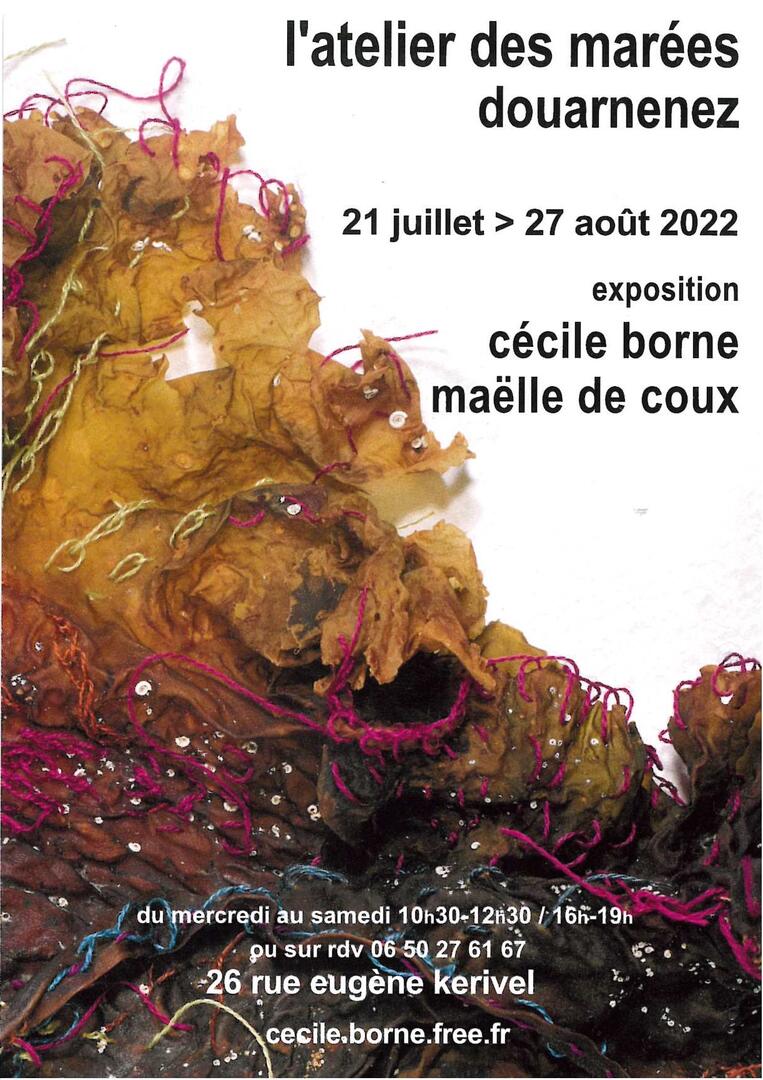 JUL borne de coux