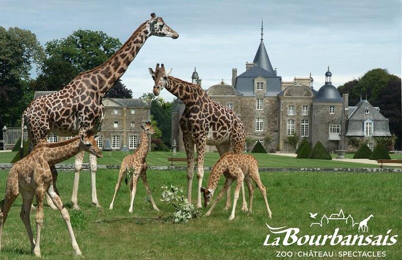 Château et Jardins de la Bourbansais - Parc Zoologique