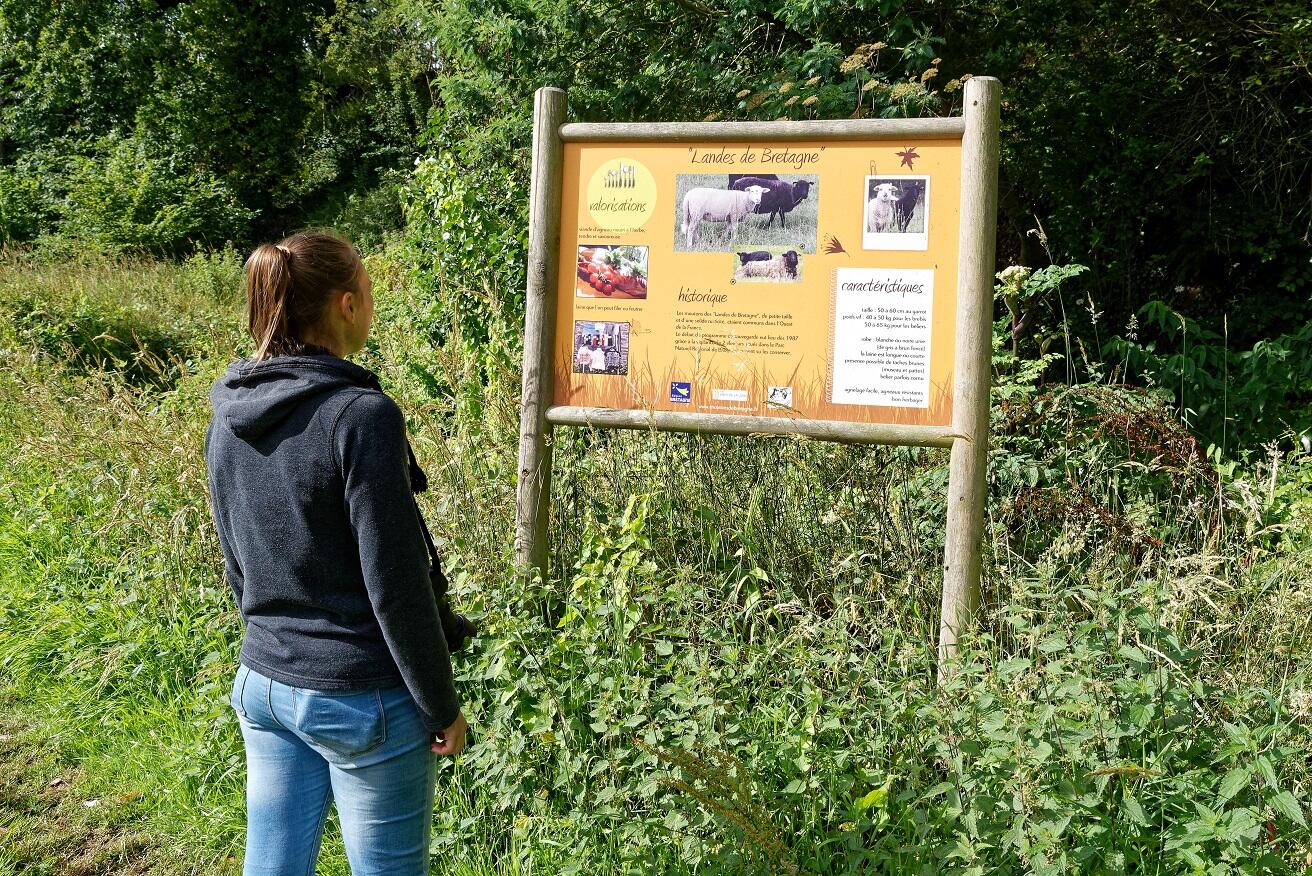 La Vallée de l'amitié
