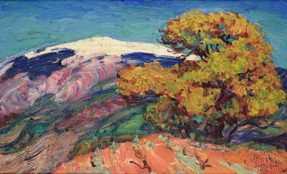 Seyssaud 1867-1952 D'une lumière à l'autre