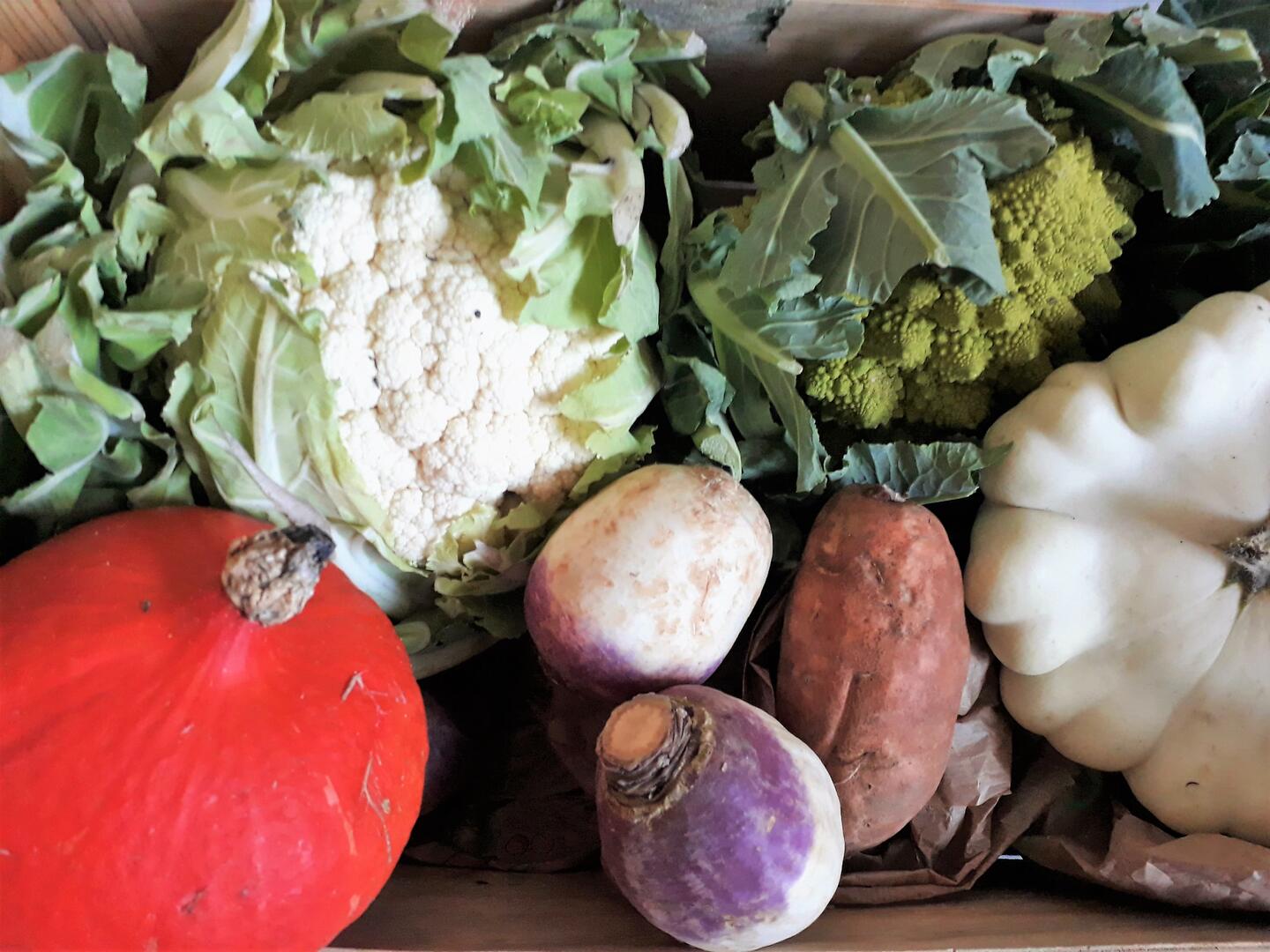Legumes-du-marche