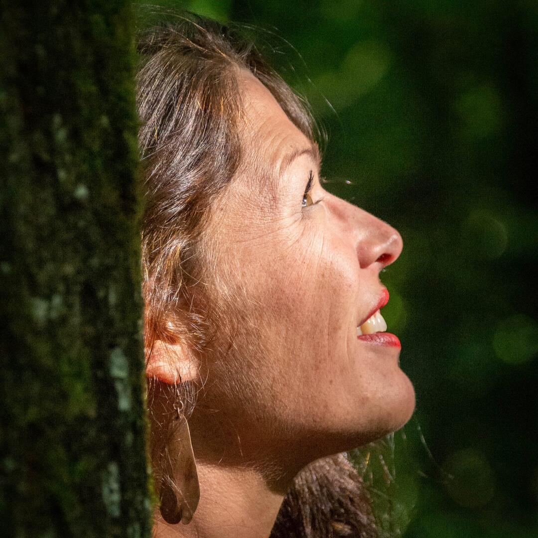 Les Coulisses de Brocéliande