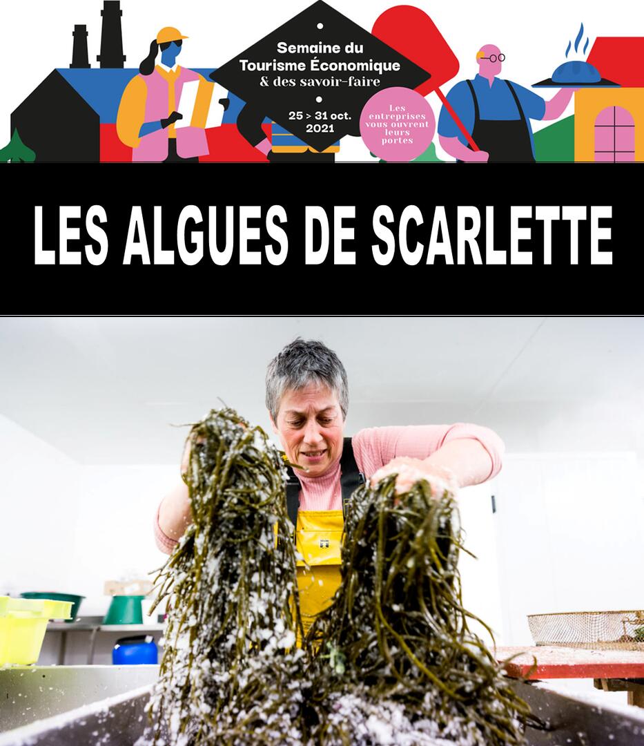 Les algues de Scarlette Le Corre