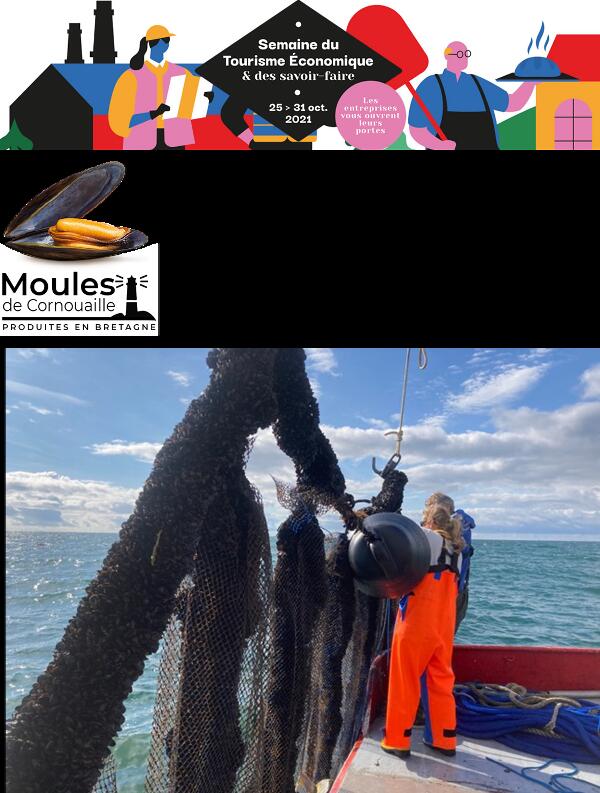 Les moules de cornouaille