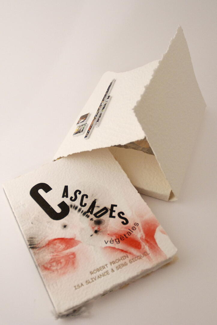 Livre d'artiste de Serg Gicquel 1