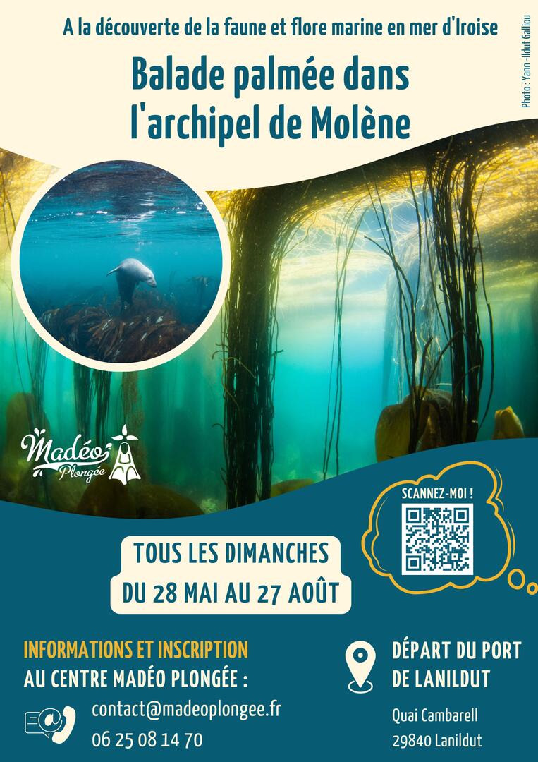 Affiche de communication randonnée palmée avec Madéo Plongée