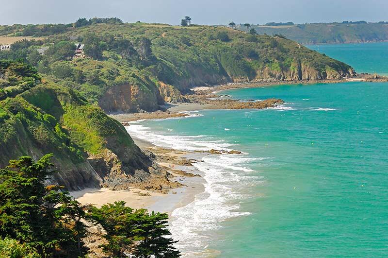 Martin Plage