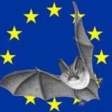 Nuit Européenne de la chauve-souris