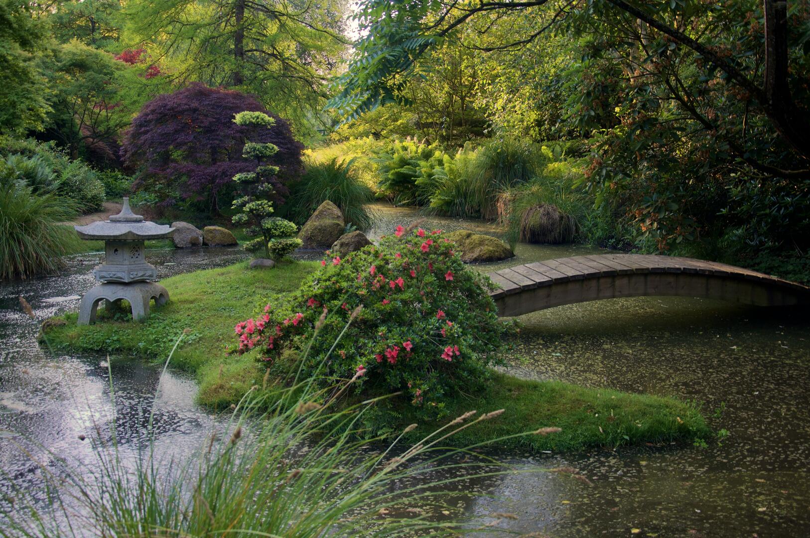 Parc botanique de Haute Bretagne (1)