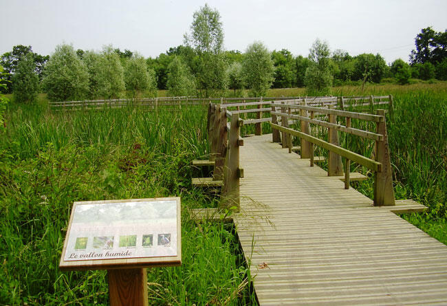 Parc de l'An 2000