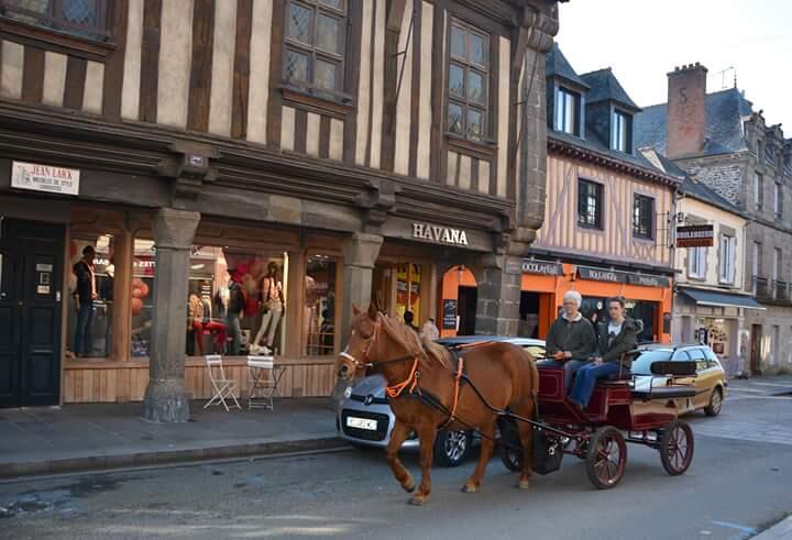 Pas, trot,vite..