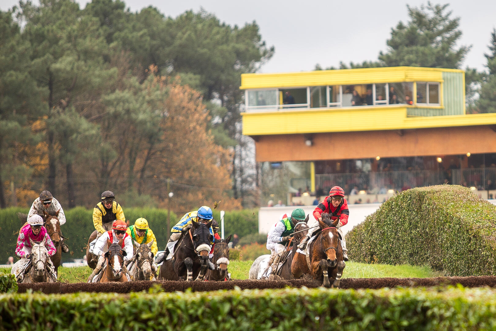Cousres de trot