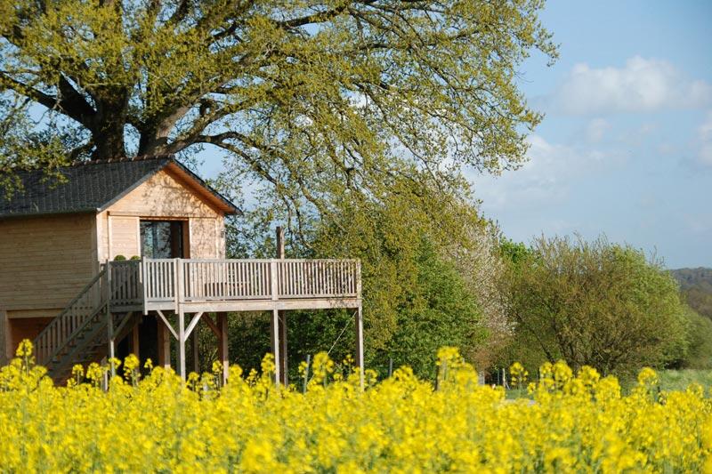 Printemps cabane la bourousais - MAURE DE BRETAGNE