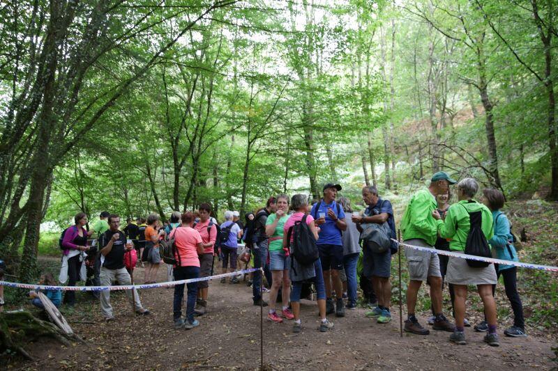Rando Festi gourmande Paimpont 2022