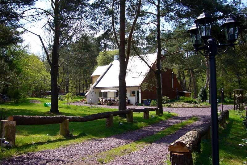 Le Bois des Elfes