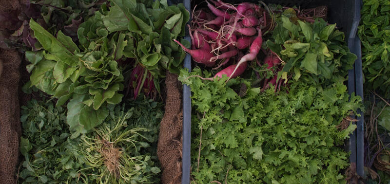 Salade©peter-feghali_unsplash