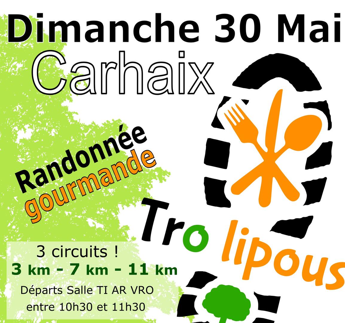 TroLipous 2021 - Affiche V4