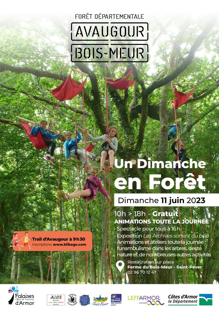 Un_dimanche_en_foret_11juin2023