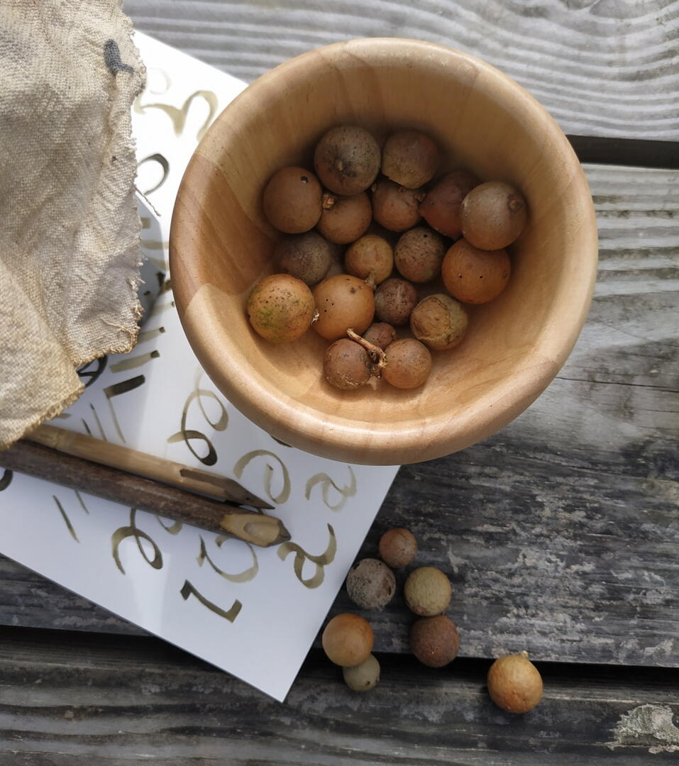 Visuel atelier les recettes du copiste