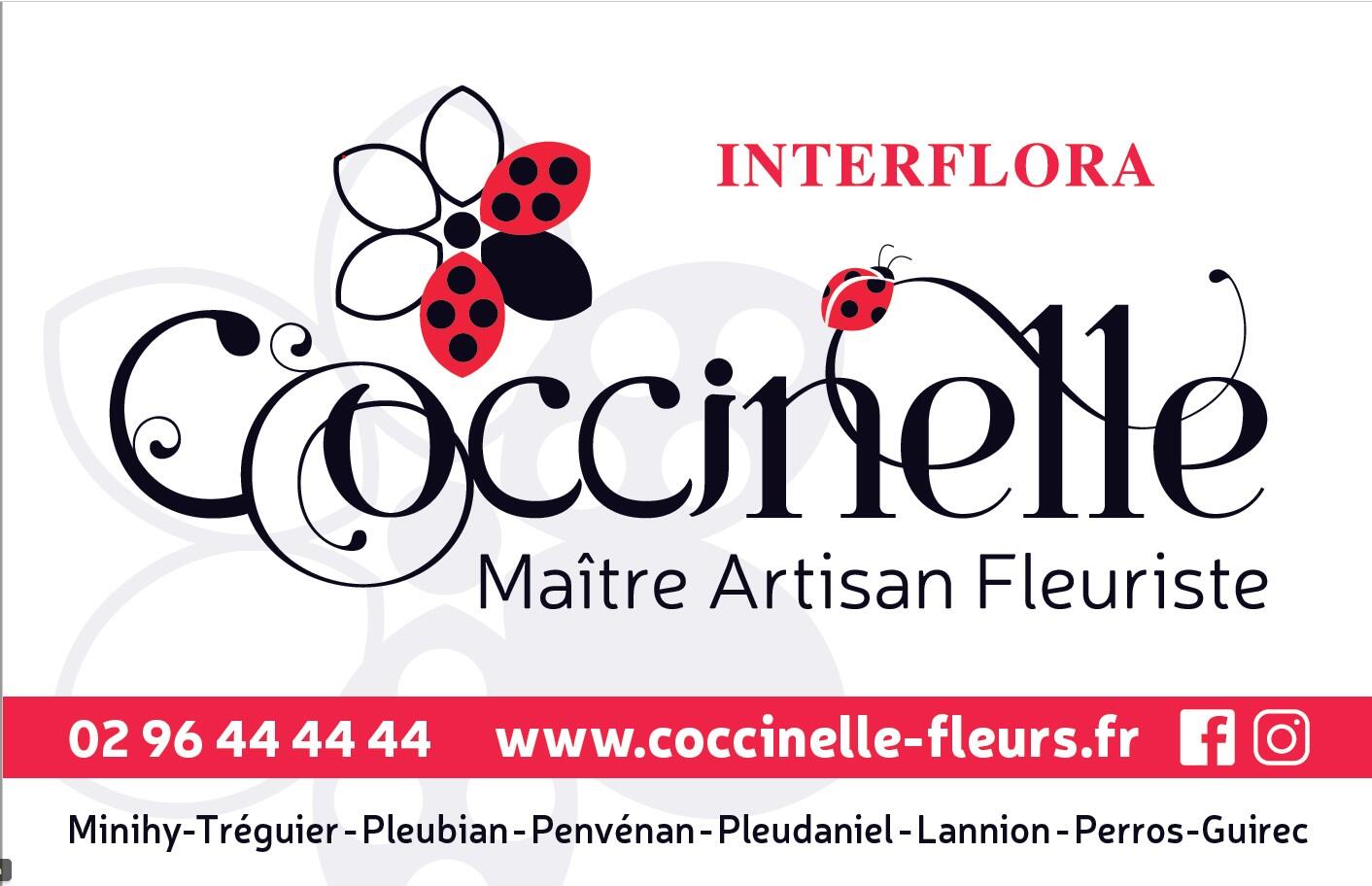 Visuel encart