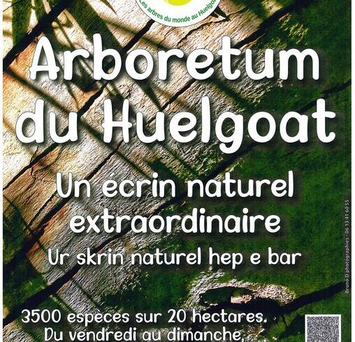 affiche-2022-508x490