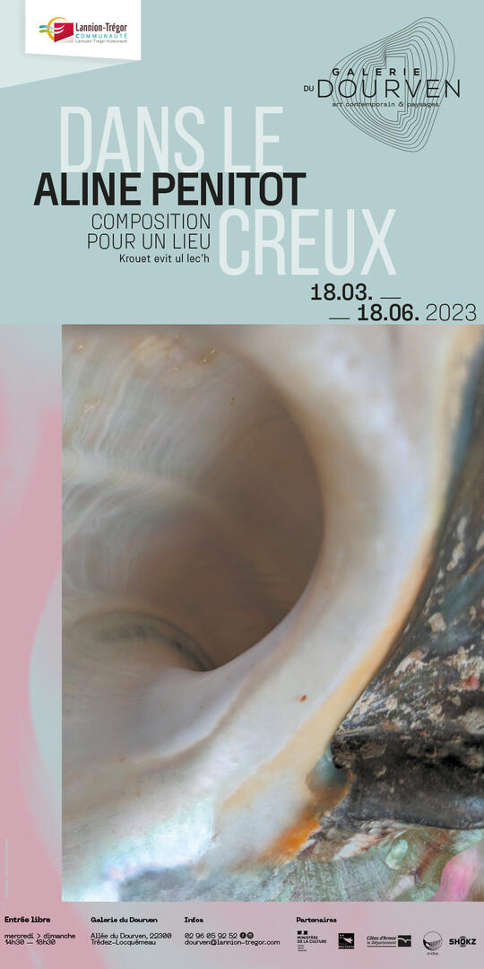 affiche-Aline-Penitot