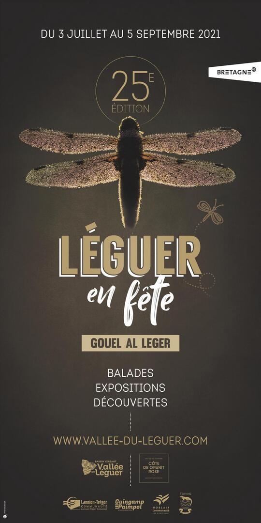 affiche LEF 2021 BD
