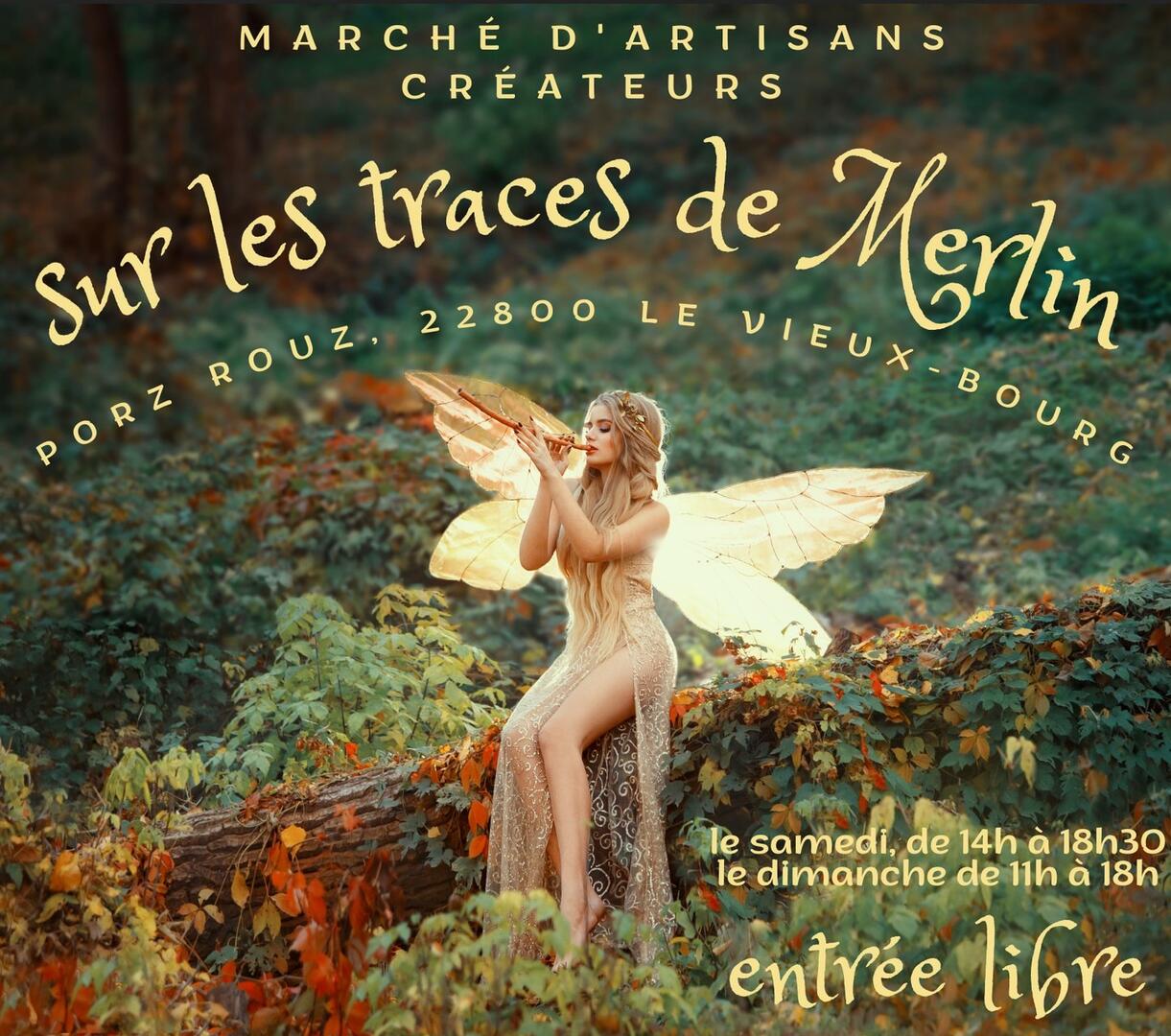 affiche Sur les traces de Merlin Vieux Bourg 2022