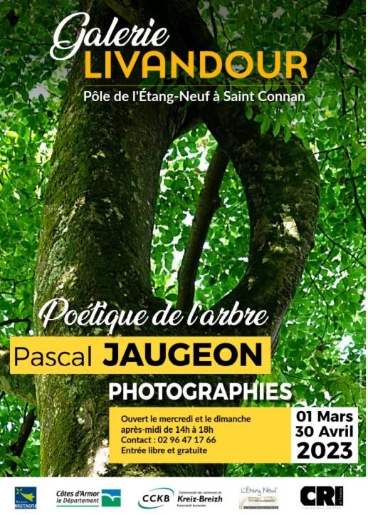 affiche livandour