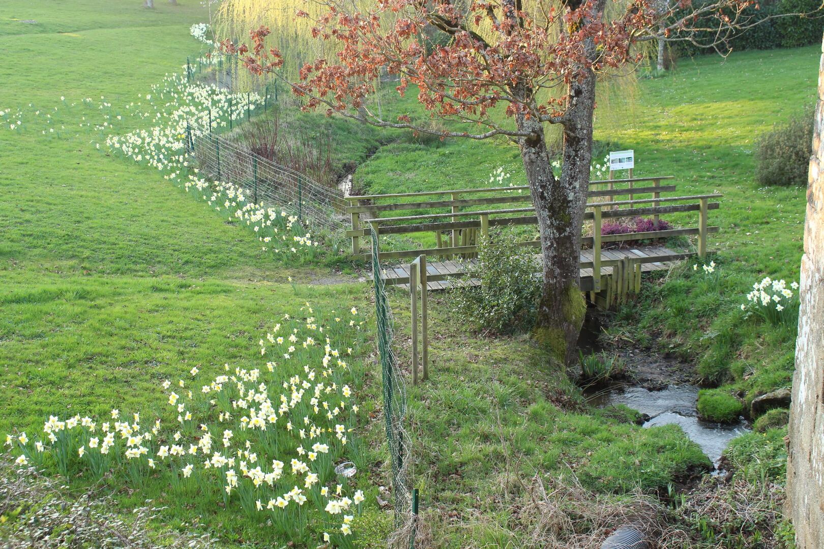 ancien-moulin-saint-georges-de-reintembault-2