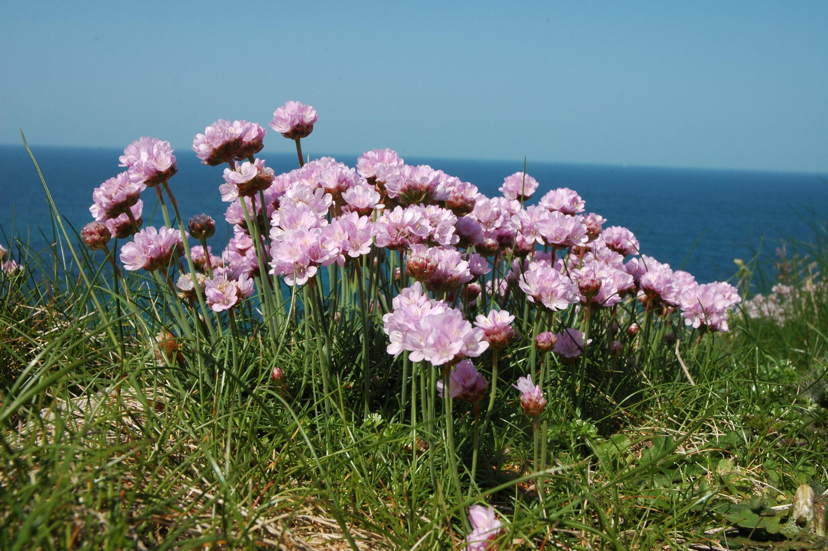 Balade nature