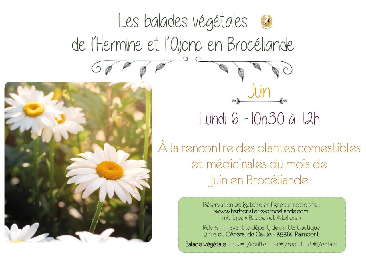 balade 06.06.2022