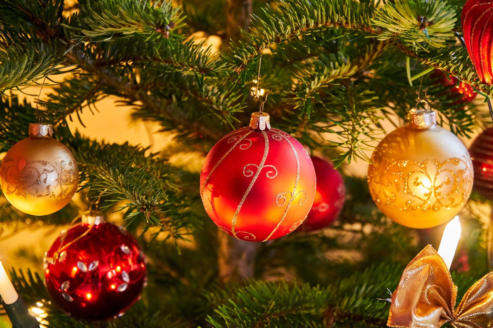 christmas-tree-4719147_1920