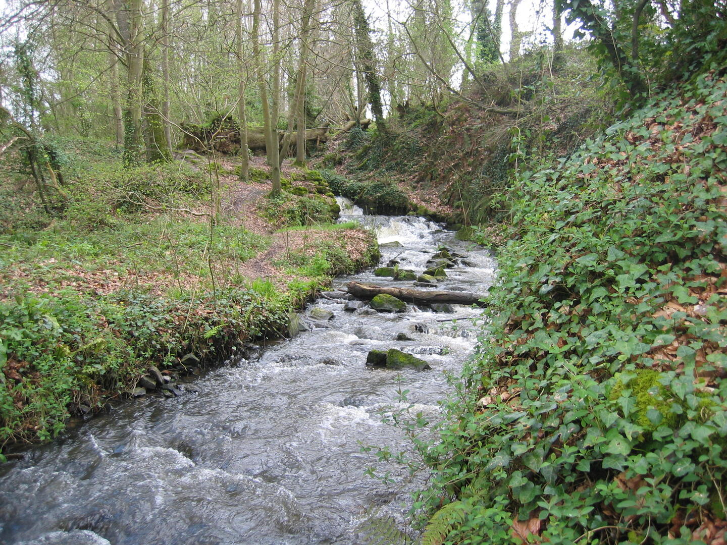 chutes du Bizien à Kerdeozer