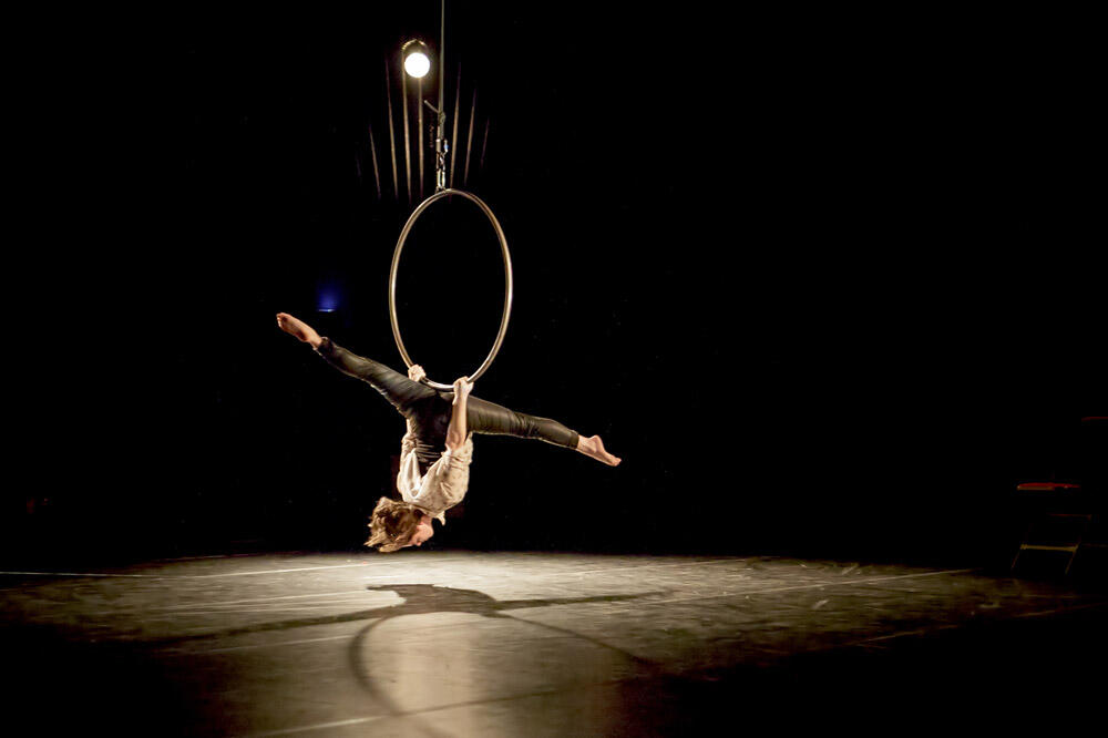 Festival Circonova