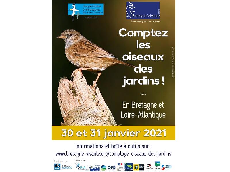 comptage oiseau