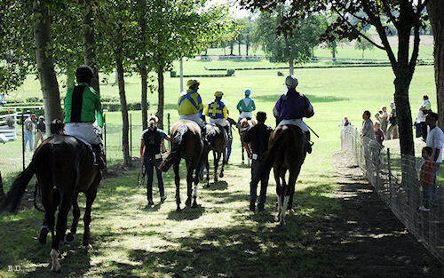 courseshippiques (2)