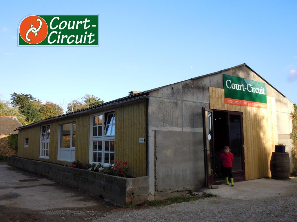 court-circuit-2