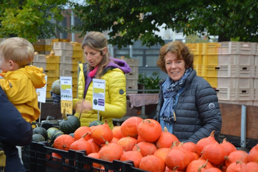 Marche de cucurbitacés - Pouldreuzic - Pays Bigouden