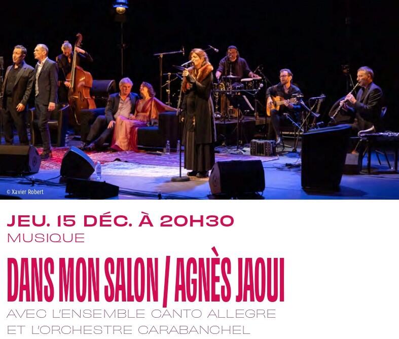dans mon salon agnès jaoui 15 déc