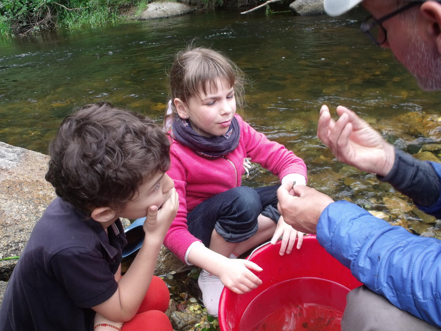 de la rivière à la pêche Kernansquillec ©G. Leroi (4)