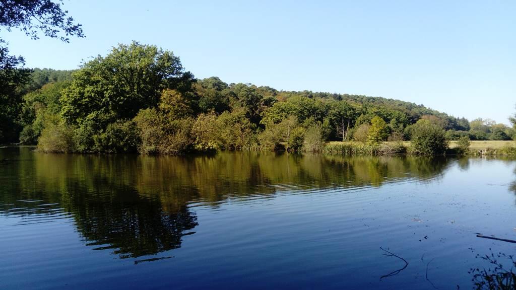 Site de l'Ile aux Pies, l'endroit idéal pour les activités de plein air