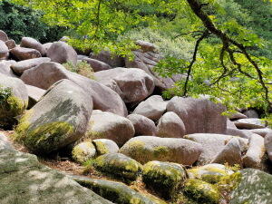 gorges du corong (1)@FlorieThielin-SansCredit