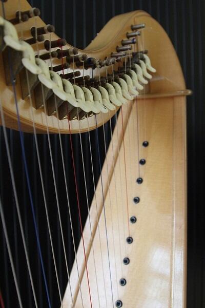 harpe_retour_aux_sources_2020_portrait_web