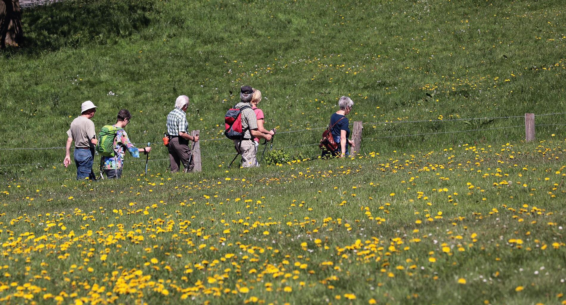 hike-g77c345265_1920