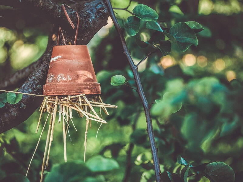 insect-hotel-4244423_1280