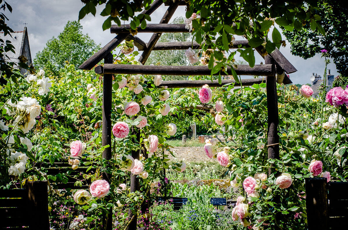 jardin-du-prieure-de-locmaria-balades-botaniques
