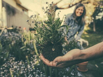 jardinage