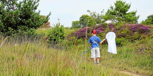 la-balade-autour-des-landes-de-la-poterie-est-riche-en-4076590-540x270p