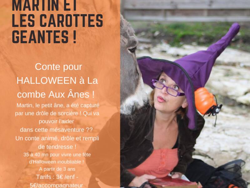 la-potion-magique-des-anes-2-800x600